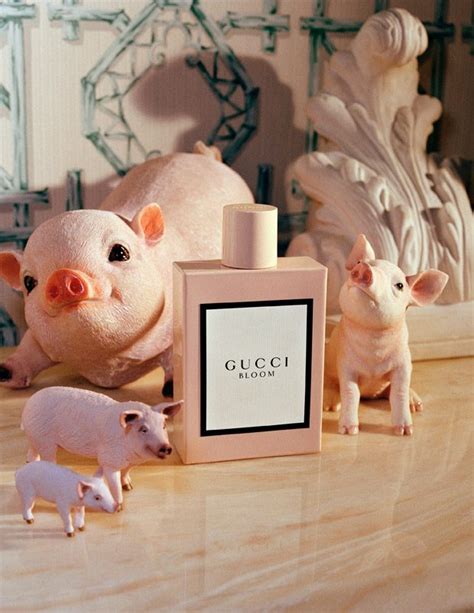 gucci 3 little pigs brooch|gucci chinese new year capsules.